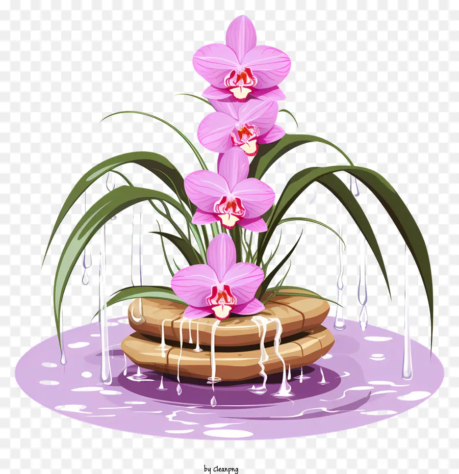 Orchidée Rose，Vase D'eau PNG