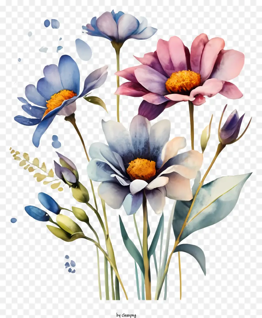 Vase De Marguerites Bleues Et Roses，Bleu De Fleurs Sauvages PNG