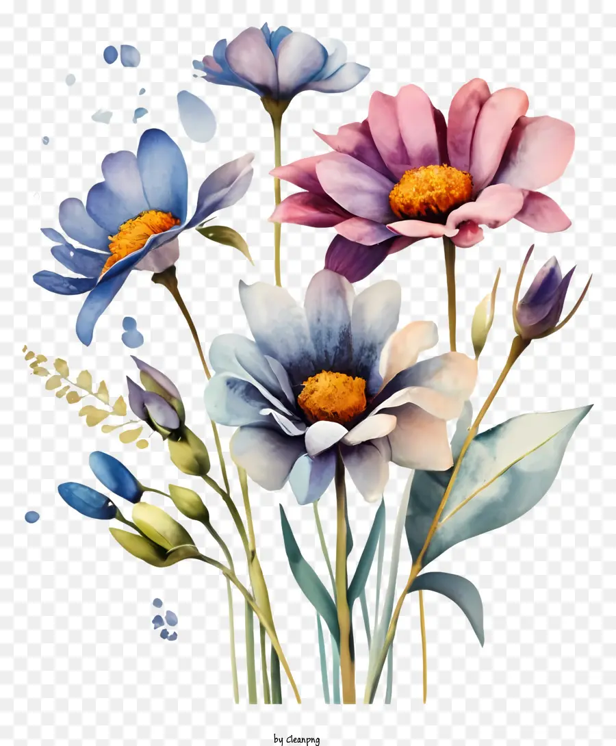 Vase De Marguerites Bleues Et Roses，Fleurs Colorées PNG