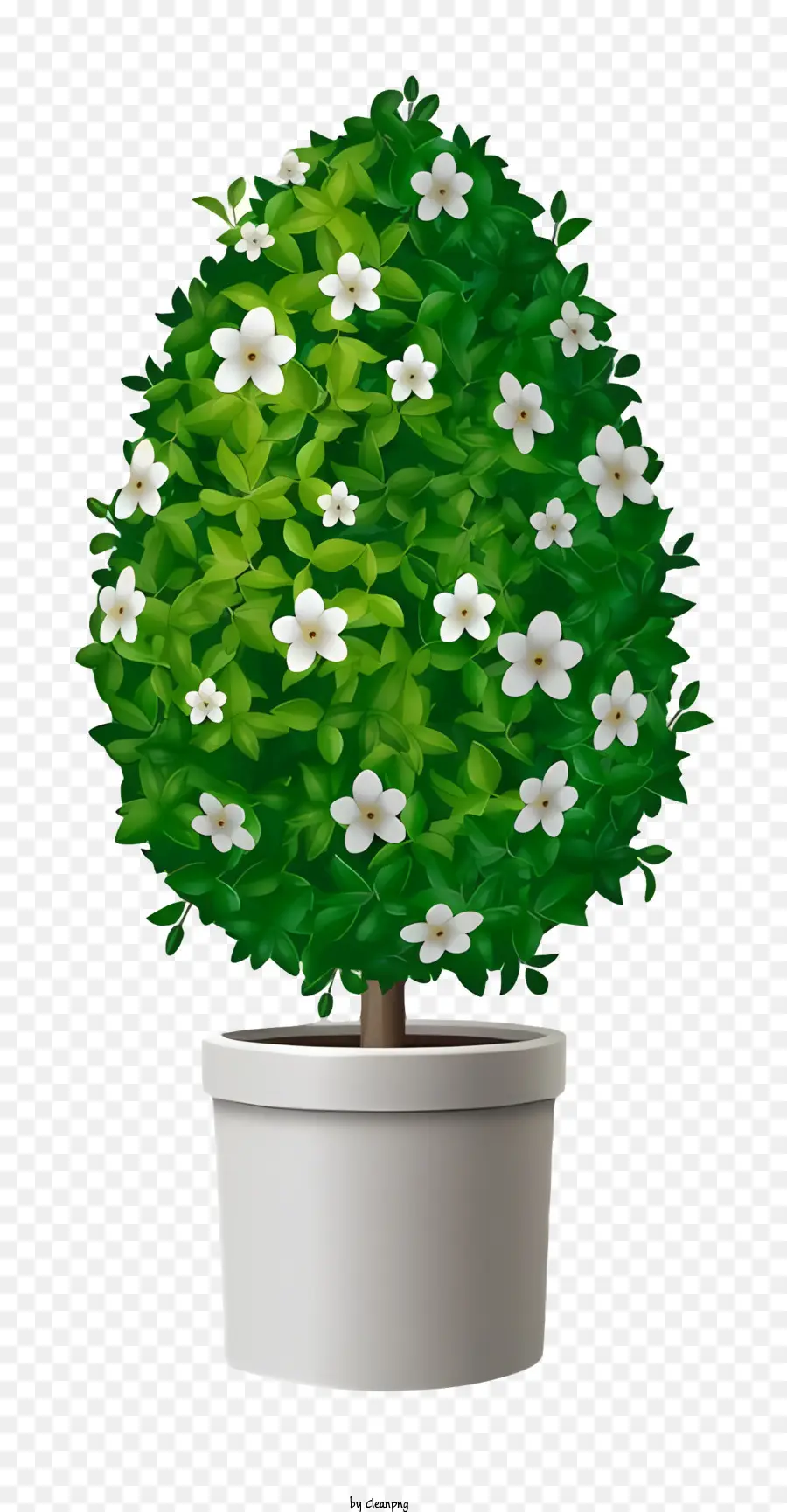 Plante En Pot，Fleurs Blanches PNG