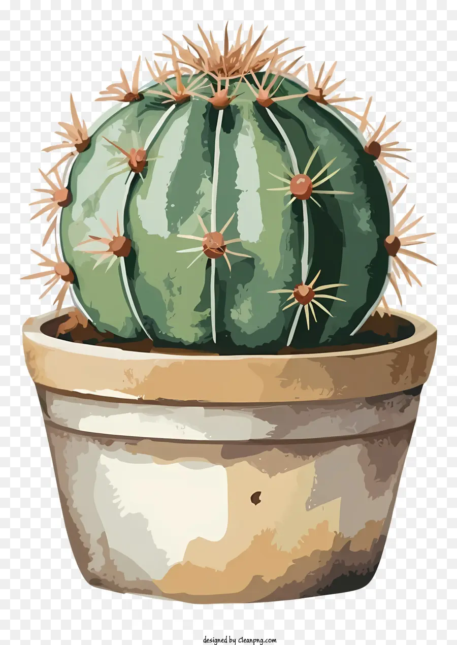 Vert Cactus，épines Blanches PNG