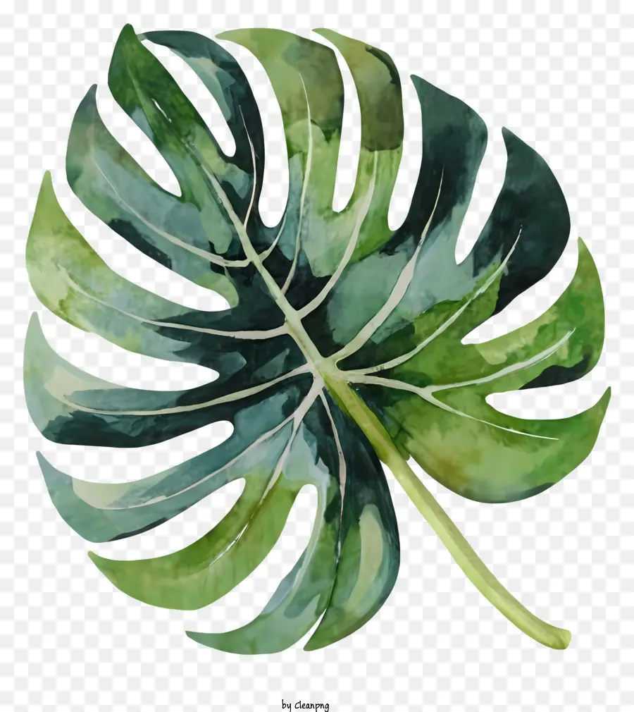 Monstre De La Feuille，Feuille Verte PNG