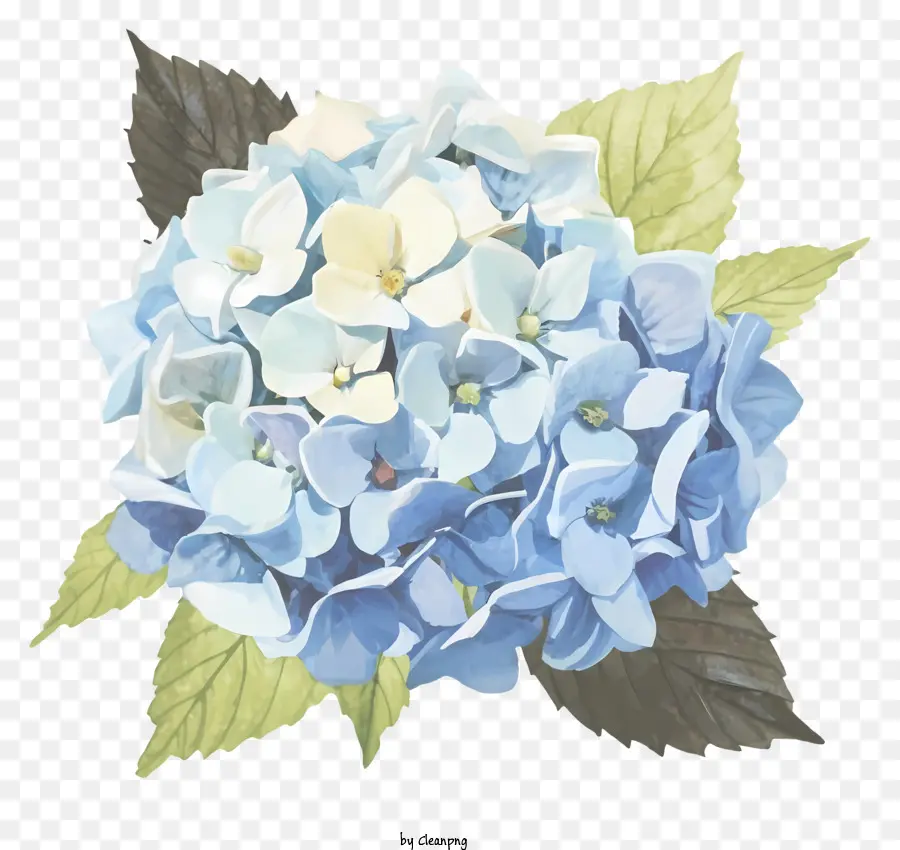 Fleur Bleue Et Blanche，Pétales En Forme De Cloche PNG