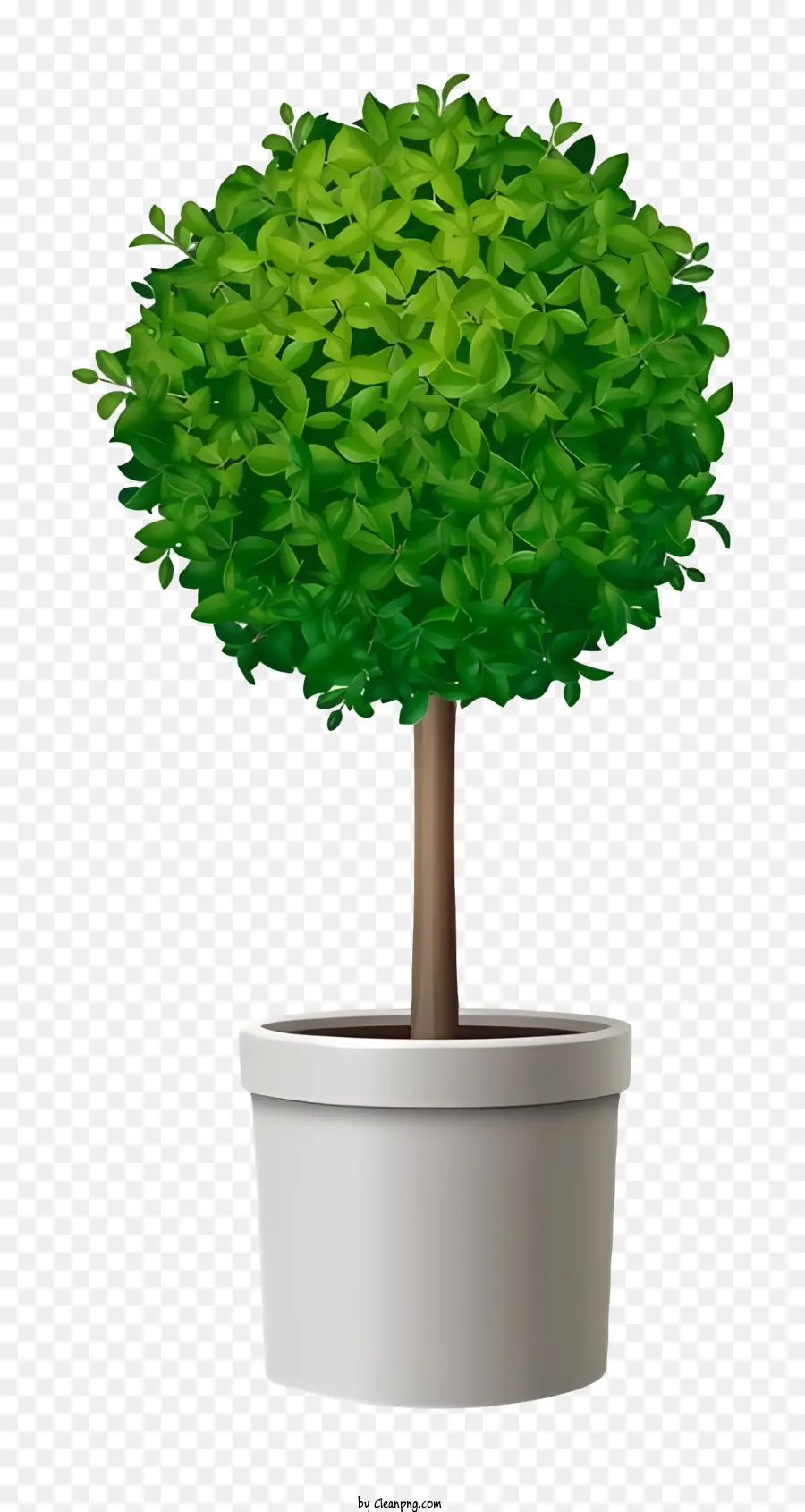 Plante En Pot，Petite Plante PNG