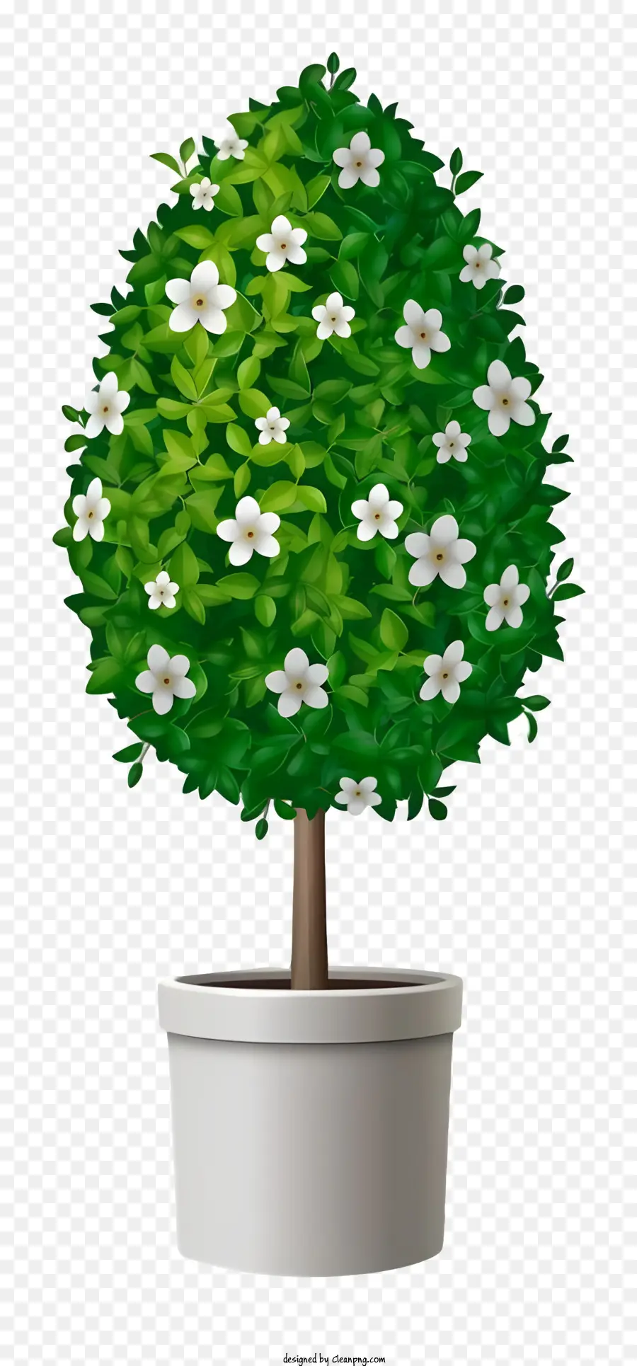 Plante En Pot，Vert PNG