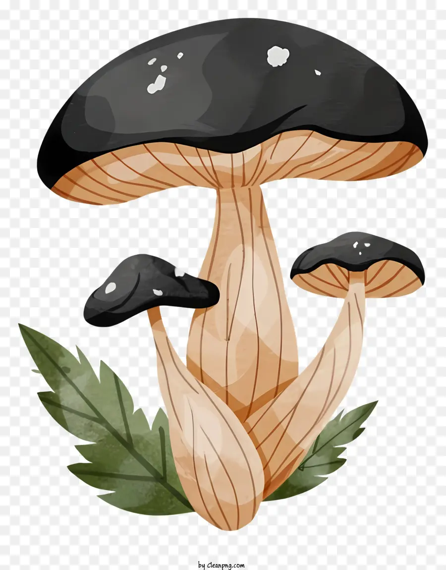 Champignons Illustration，Champignon Noir PNG