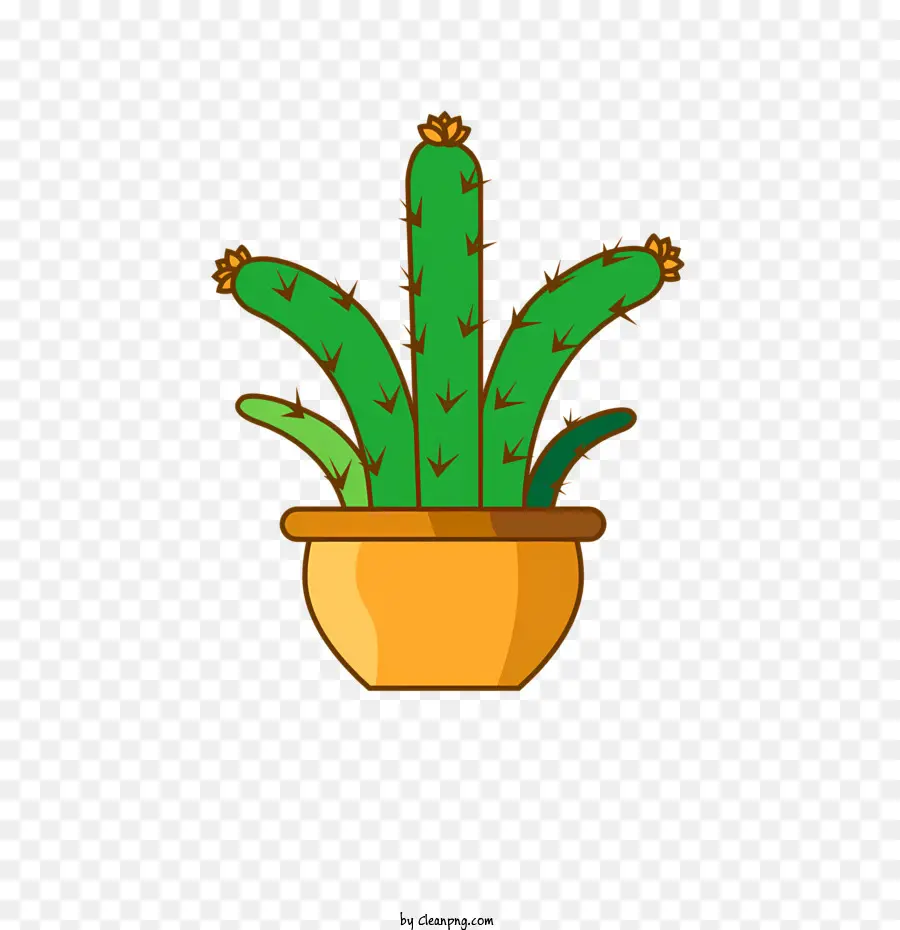 Pot De Cactus，Vert Pot PNG