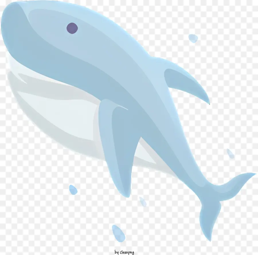 Requin Bleu，Prédateur PNG