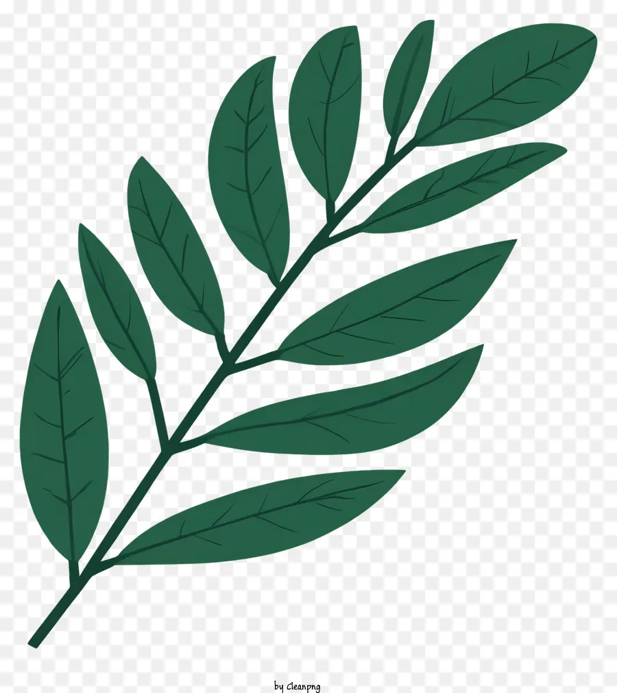 Feuille，Plante PNG