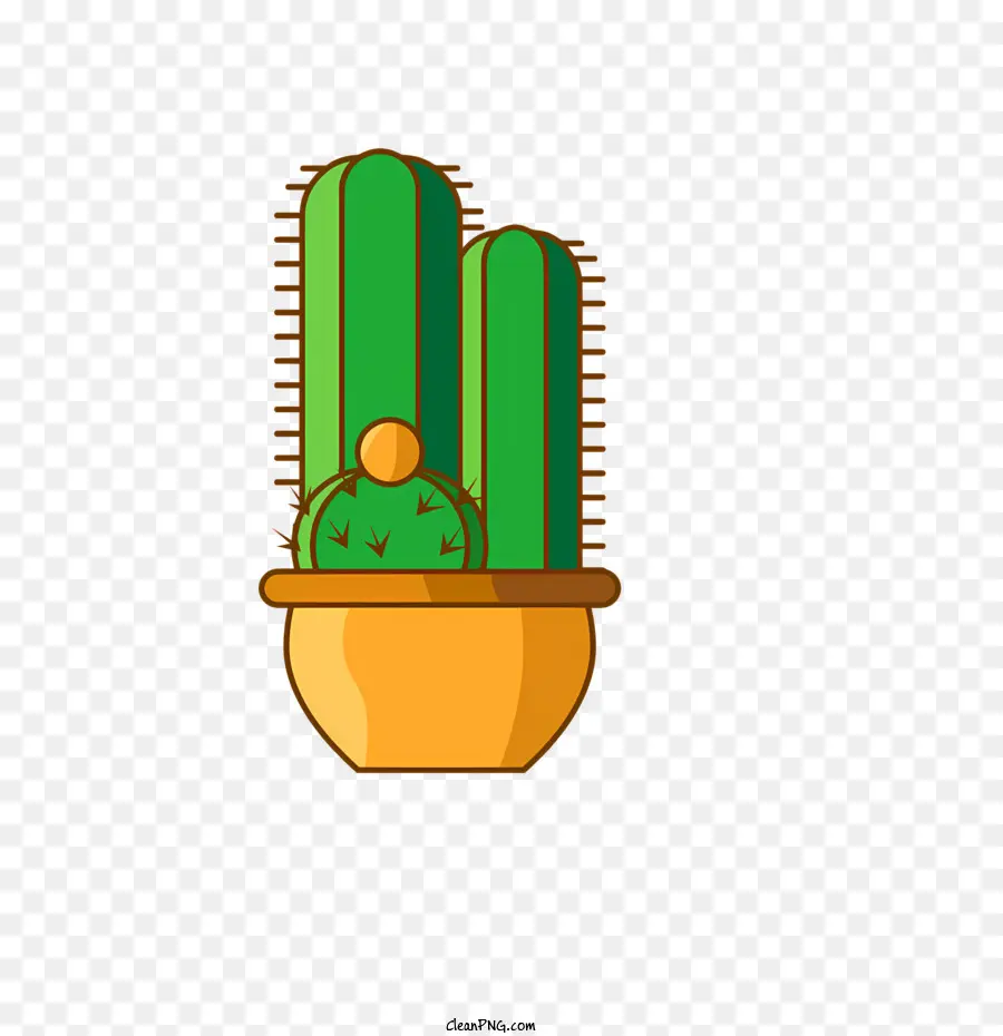 Plante De Cactus，Cactus PNG