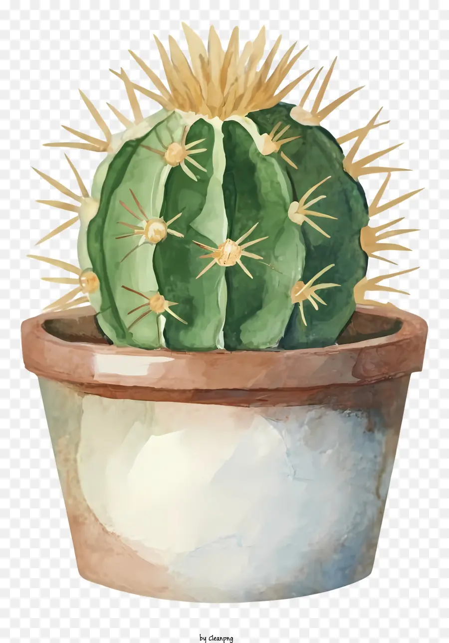 Peinture à L'aquarelle，Cactus Dans Un Pot PNG