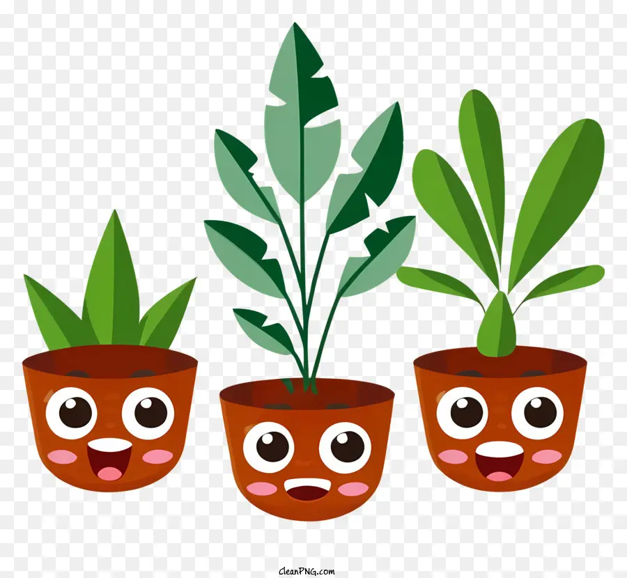 Les Plantes En Pot，Plante De Visage Surpris PNG