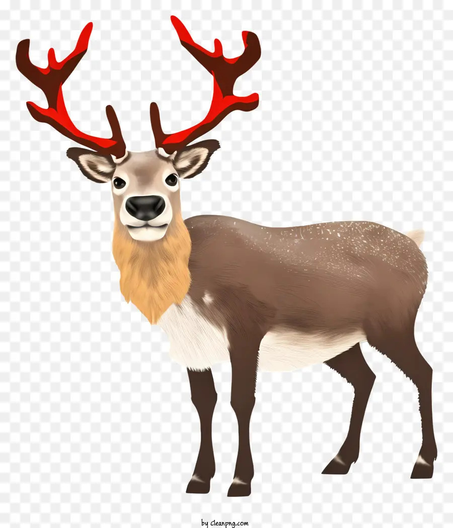 Renne，Cerf PNG