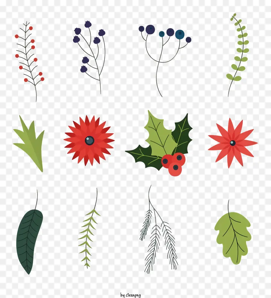 Fleurs，Plantes De Noël PNG