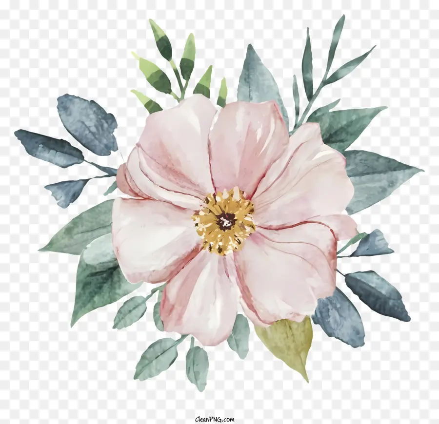 Fleur Rose，Fleurs PNG