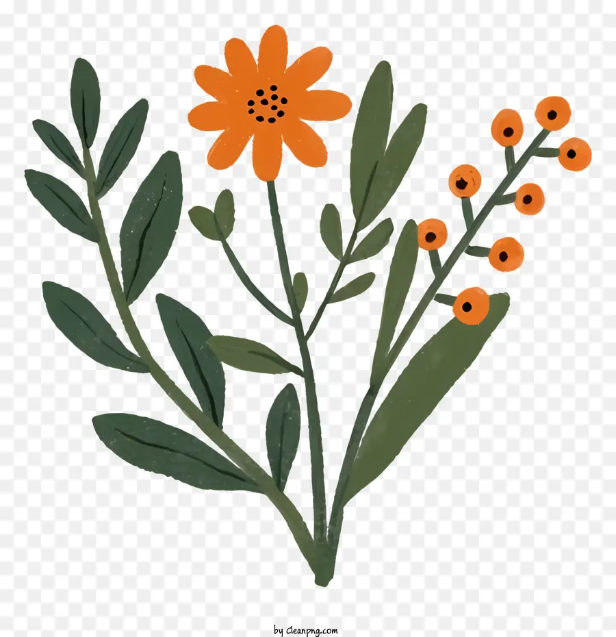 Bouquet，Des Fleurs D'orange PNG