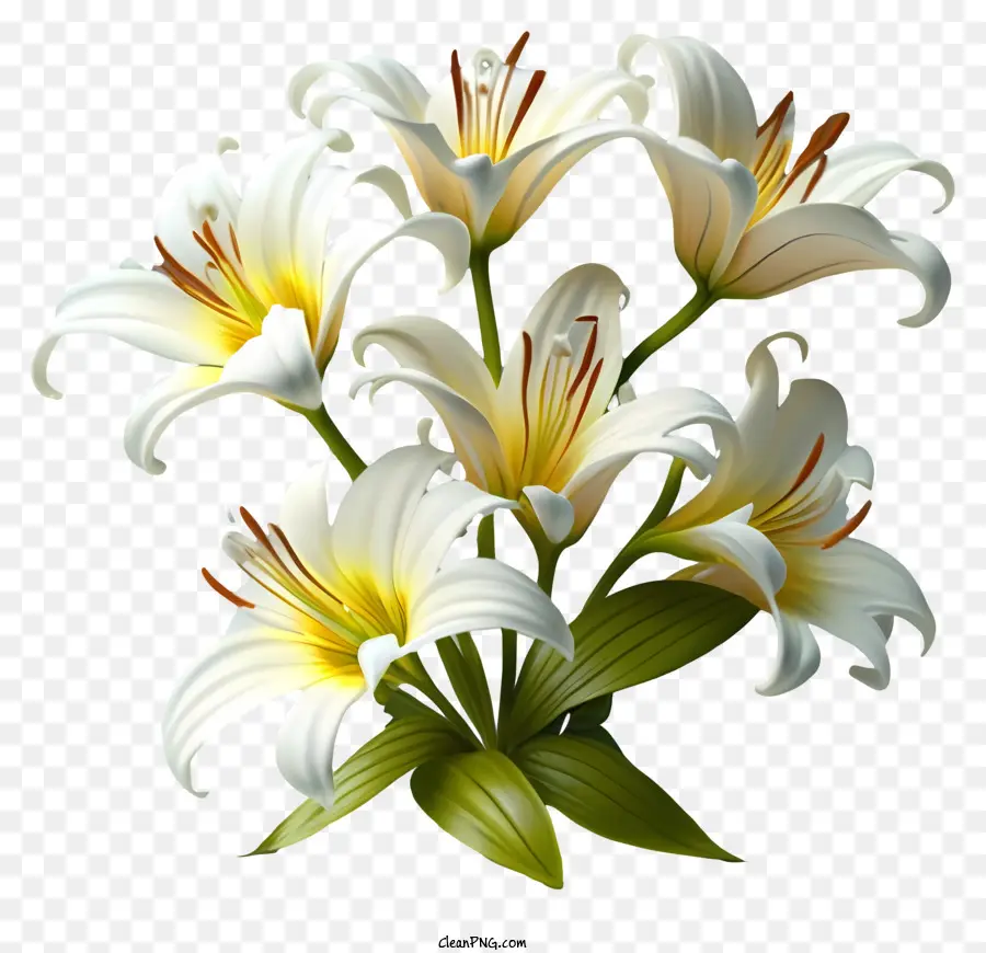 Lys Blancs，Bouquet PNG
