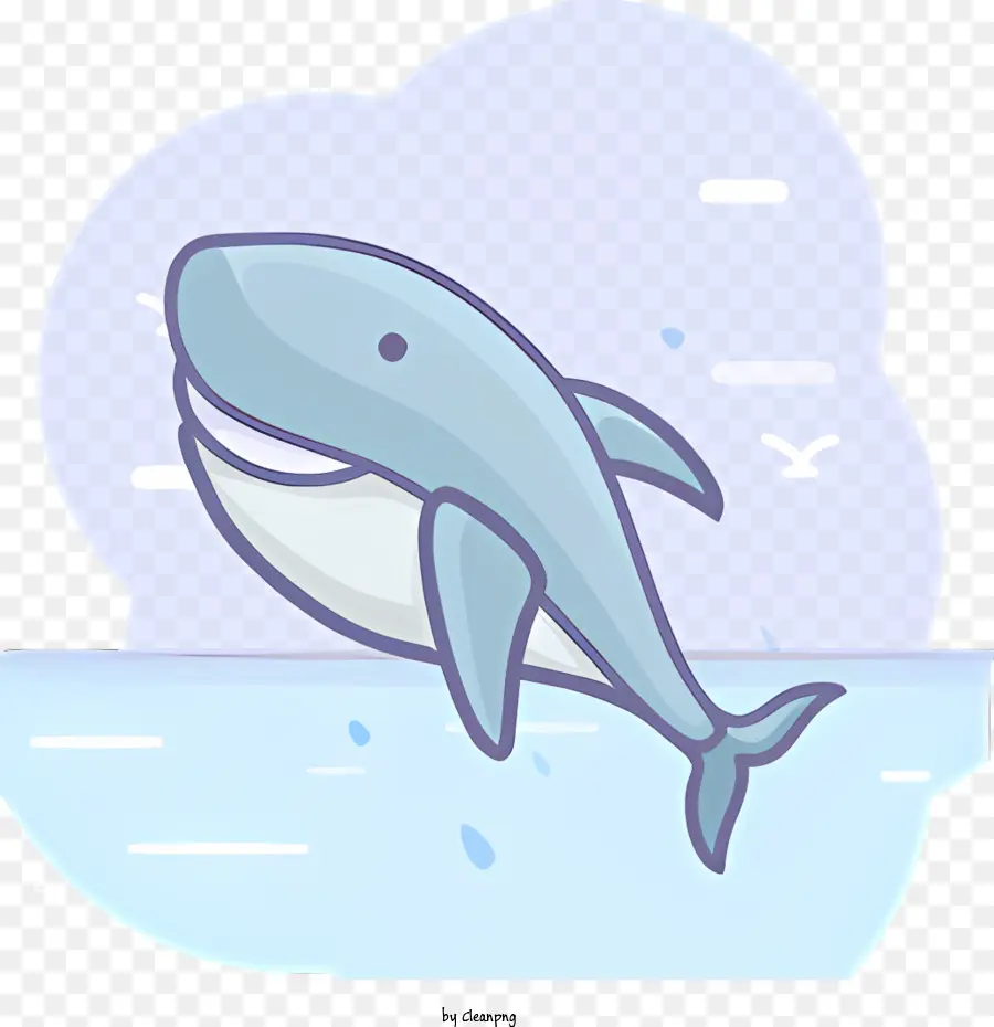 Dessin Animé De La Baleine，Baleine Piscine PNG