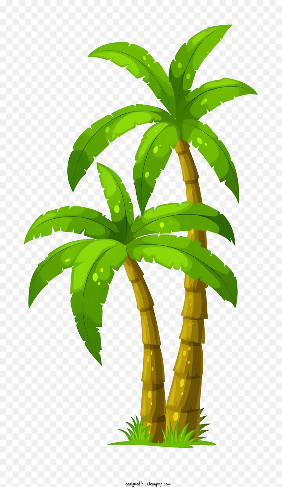 Les Palmiers，Paysage Tropical PNG