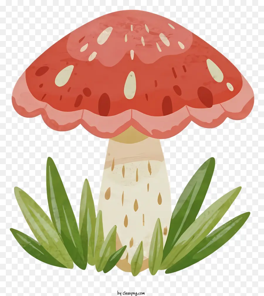 Champignon Vénéneux，Champignon Noir PNG