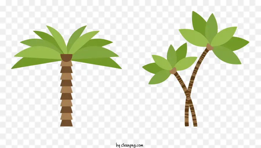 Les Palmiers，De Grands Arbres PNG