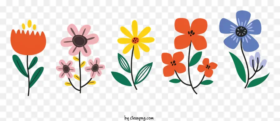 Fleurs Colorées，Arrangement De Fleurs PNG
