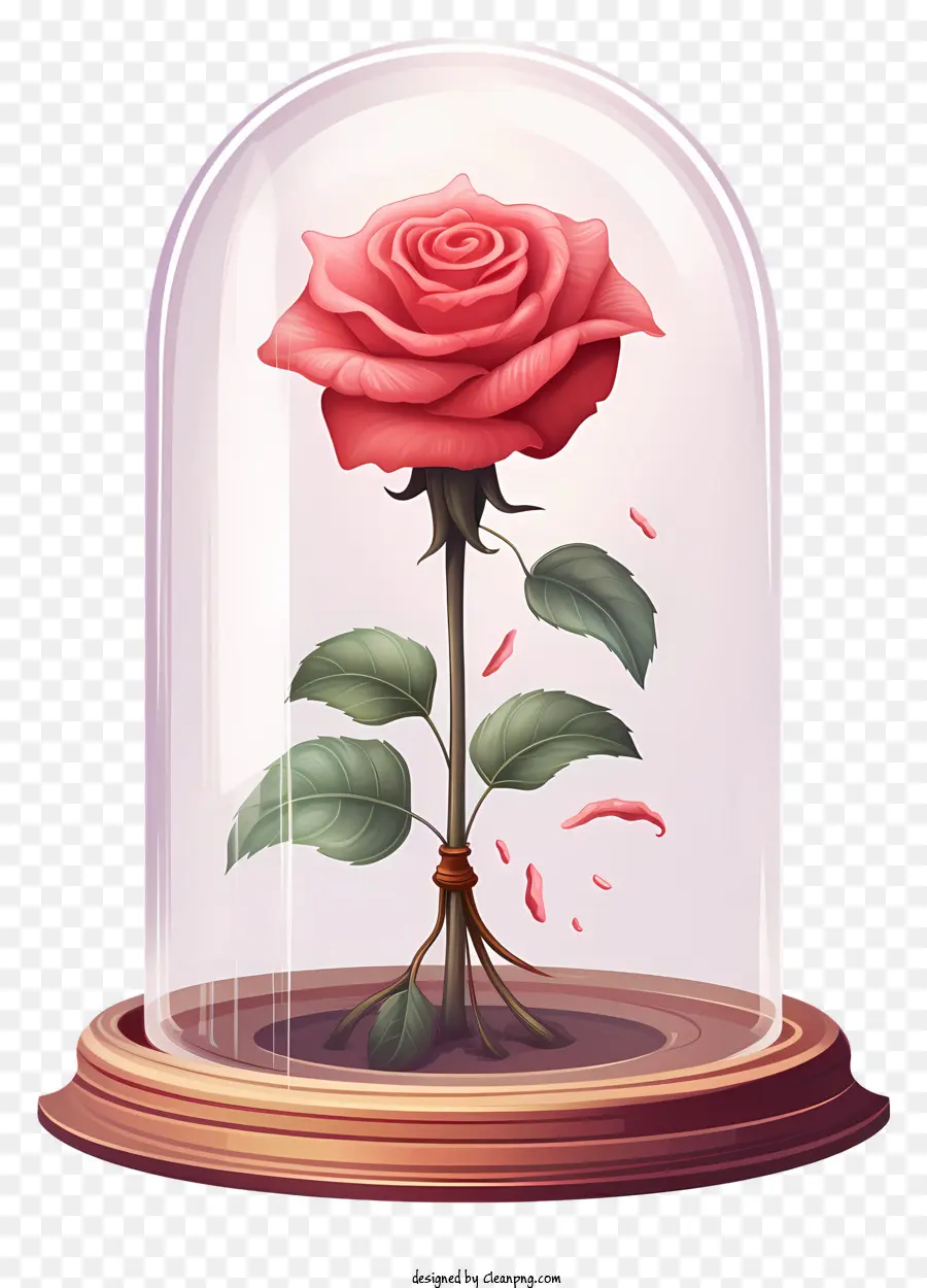 Rose Dans Un Pot De Cloche，Fleur Dans Un Récipient En Verre PNG