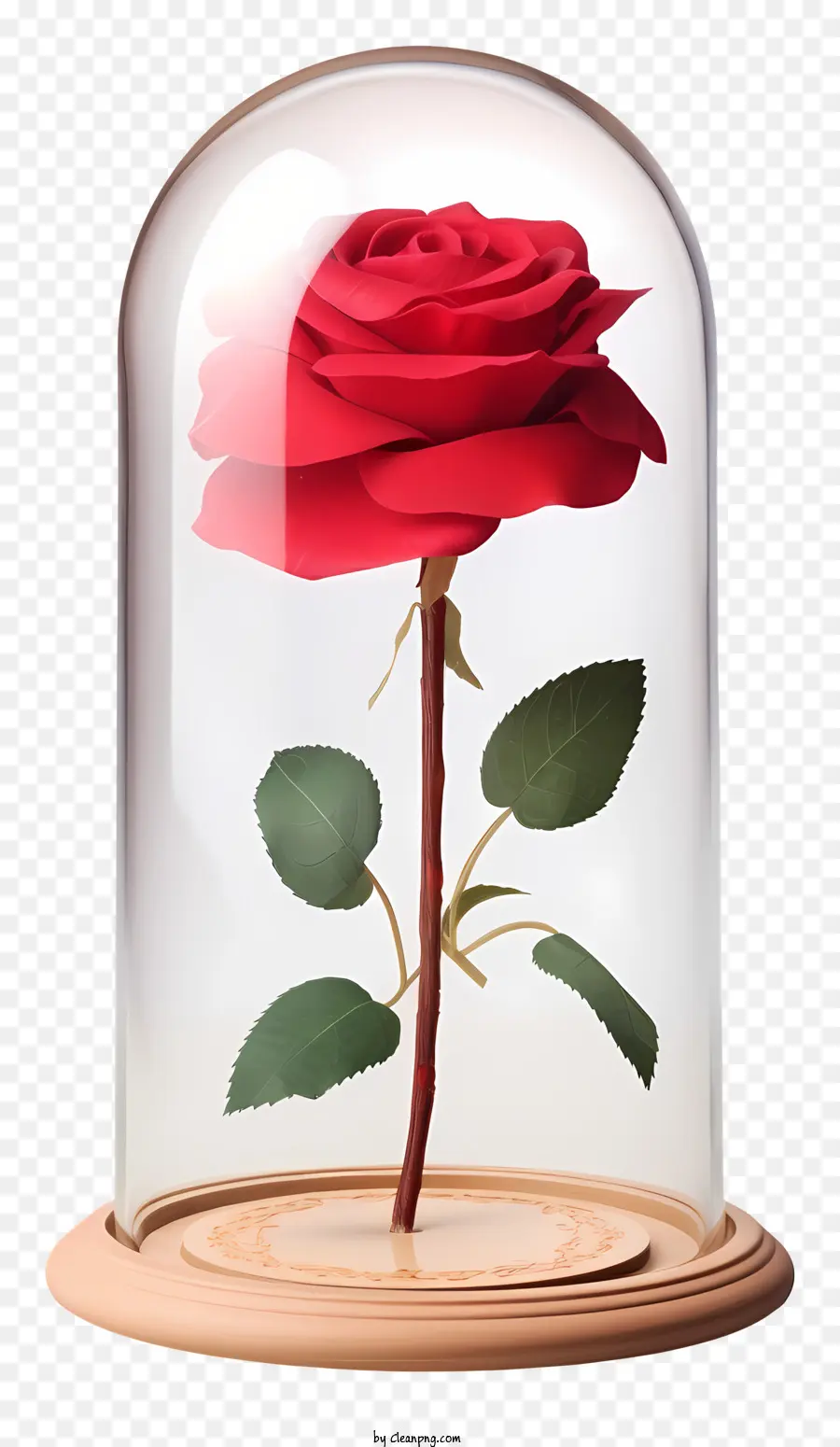 Rose，Dôme De Verre PNG