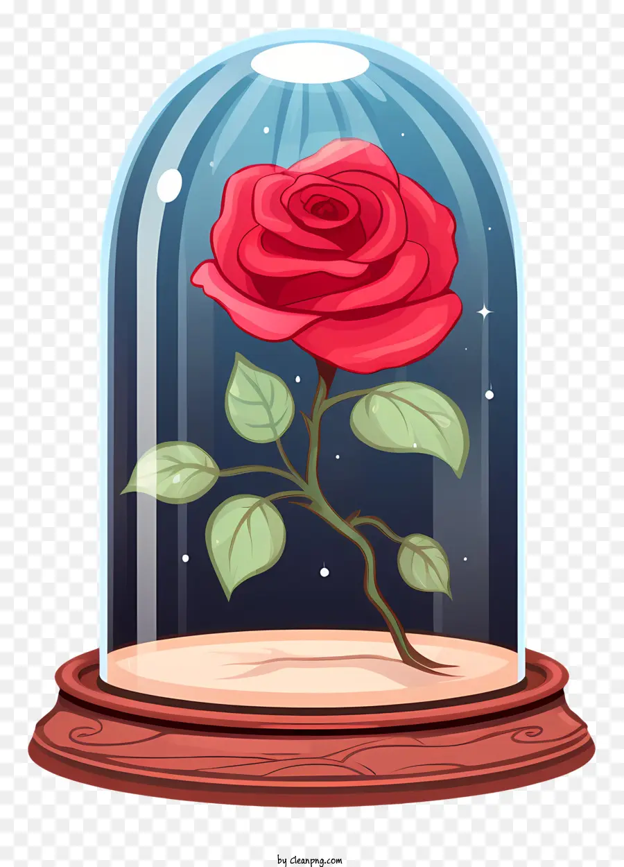 Rose，Rose Dans Un Dôme De Verre PNG