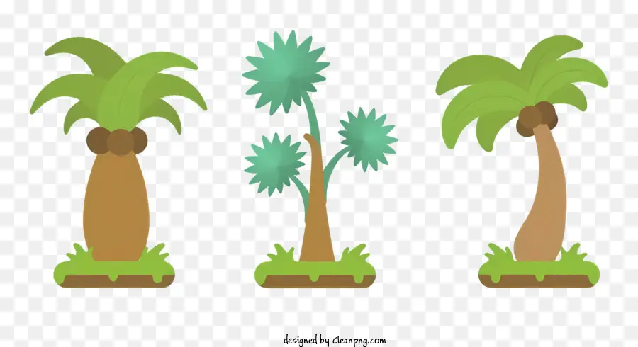 Les Palmiers，Types De Palmiers PNG