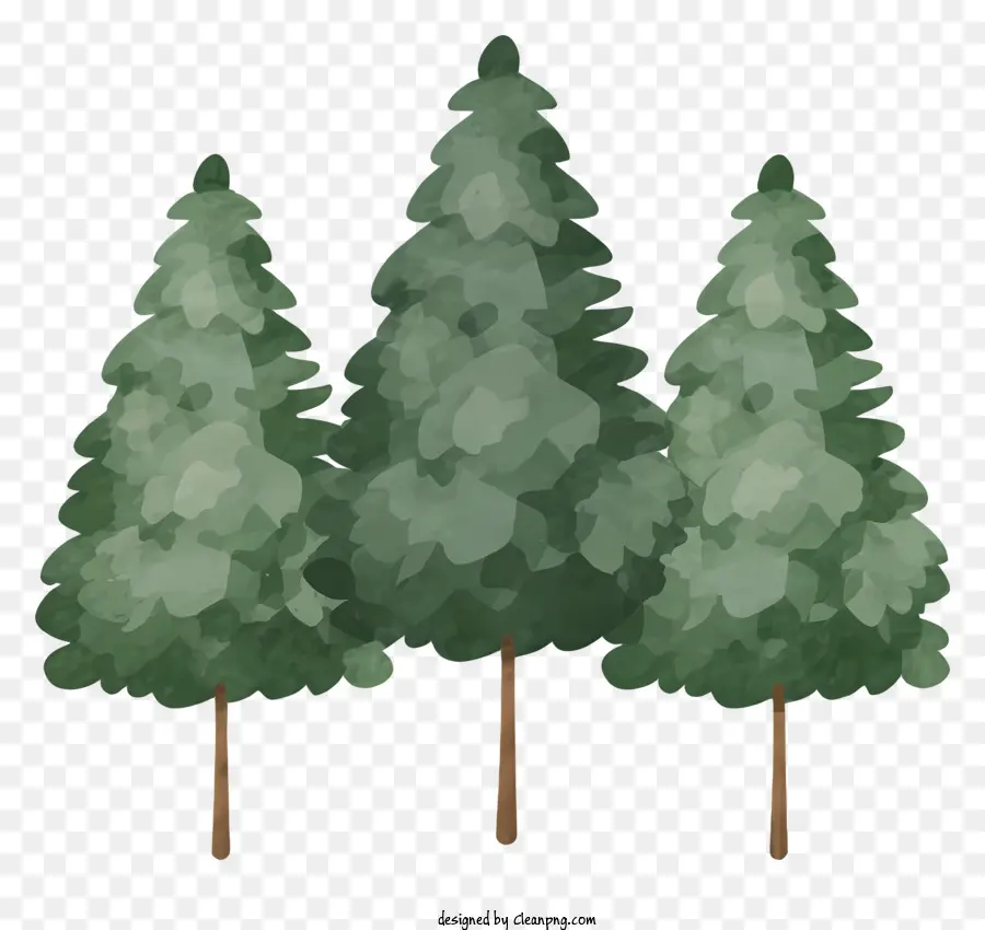 Pins，Arbres Verts PNG