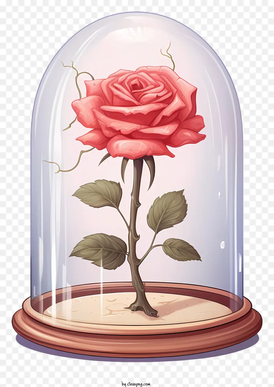Rose，Dôme De Verre PNG