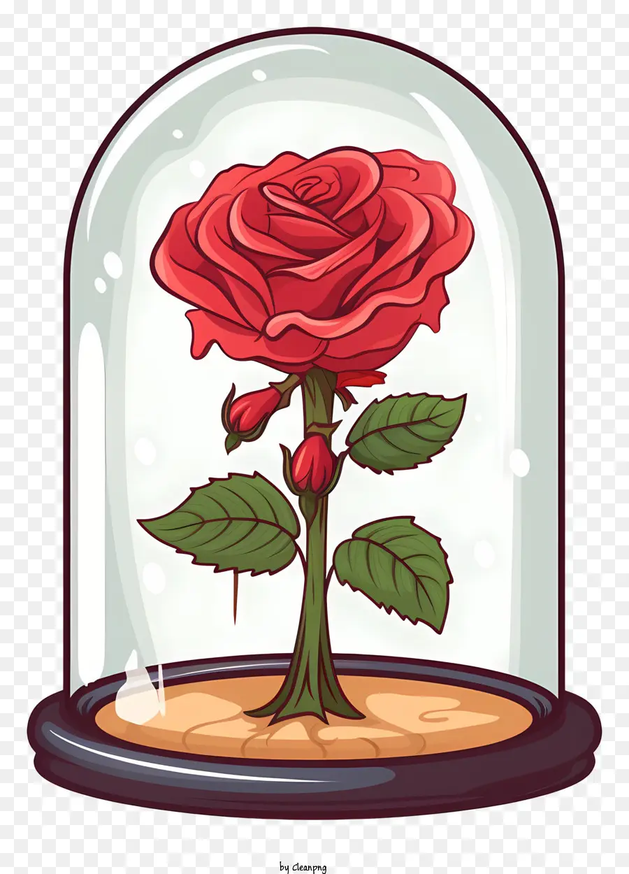 Rose Sous Coupole De Verre，Rose Dans Un Dôme De Verre PNG