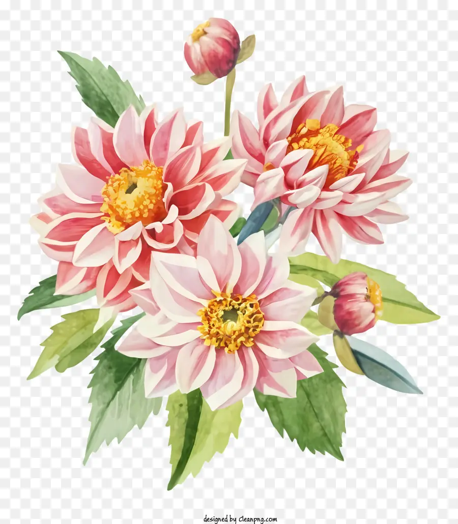 Bouquet，Dendrochys Roses PNG