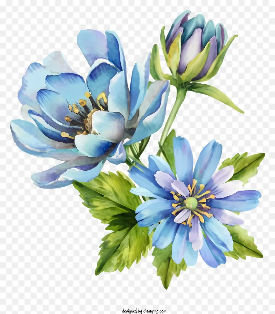 Fleur Bleue，Feuilles Vertes PNG