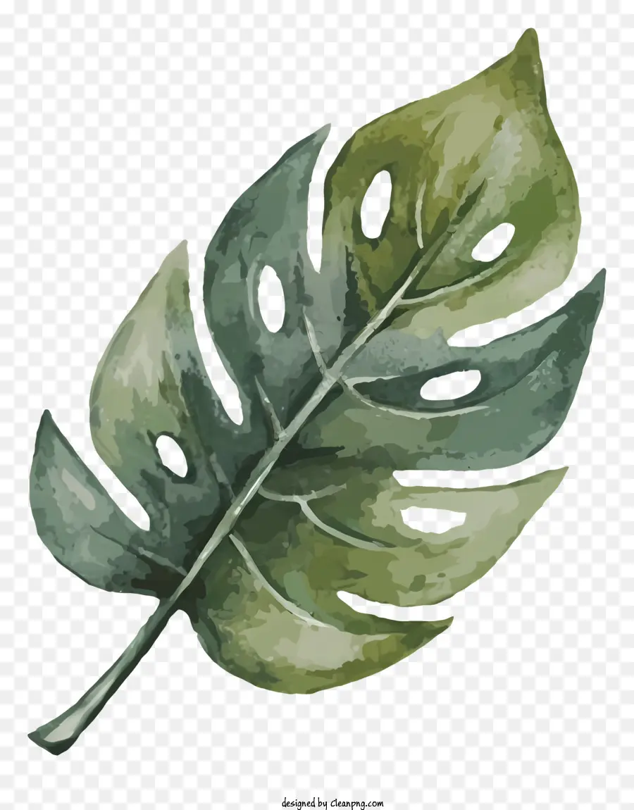 Feuille De Monstre，Feuille Verte PNG