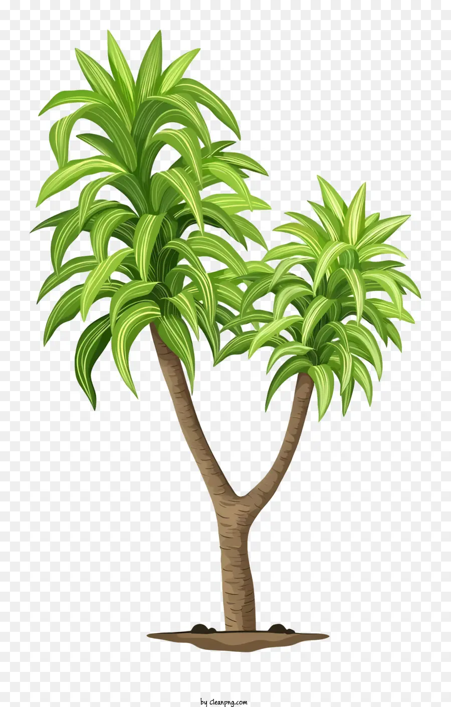 Petit Arbre，Palmier PNG