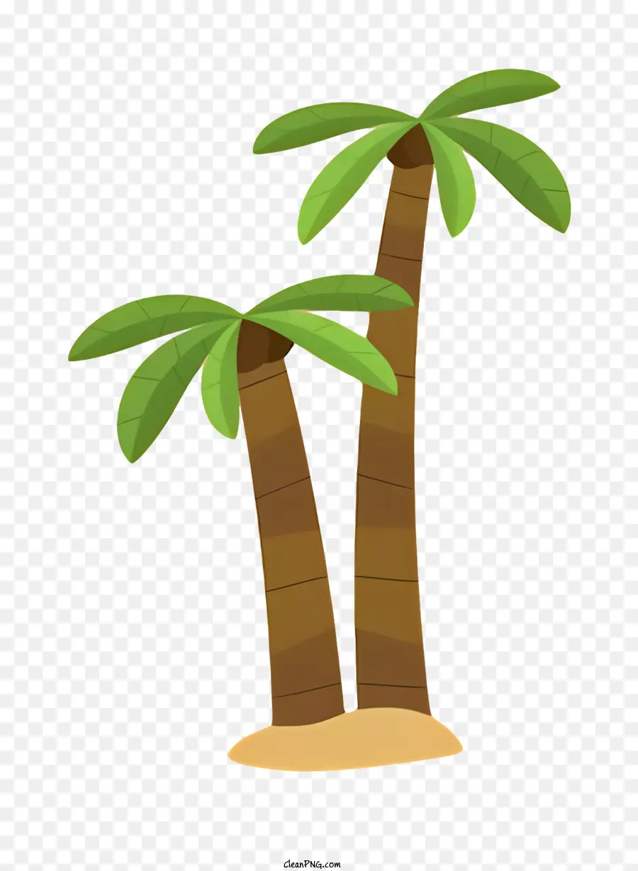 Les Palmiers，Réglage Tropical PNG