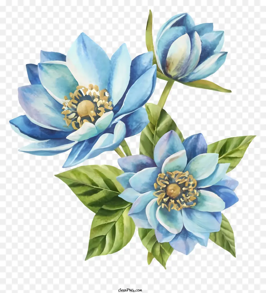 Illustration Aquarelle，Fleurs Bleues PNG