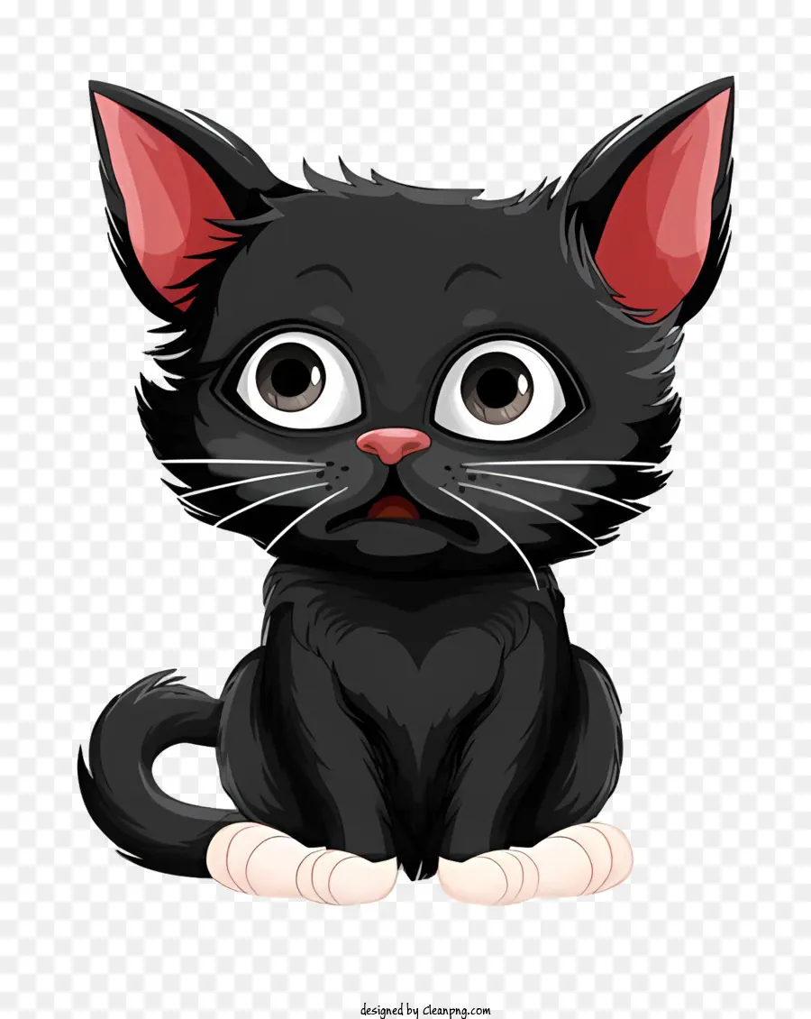 Chaton Noir，Pattes Blanches PNG