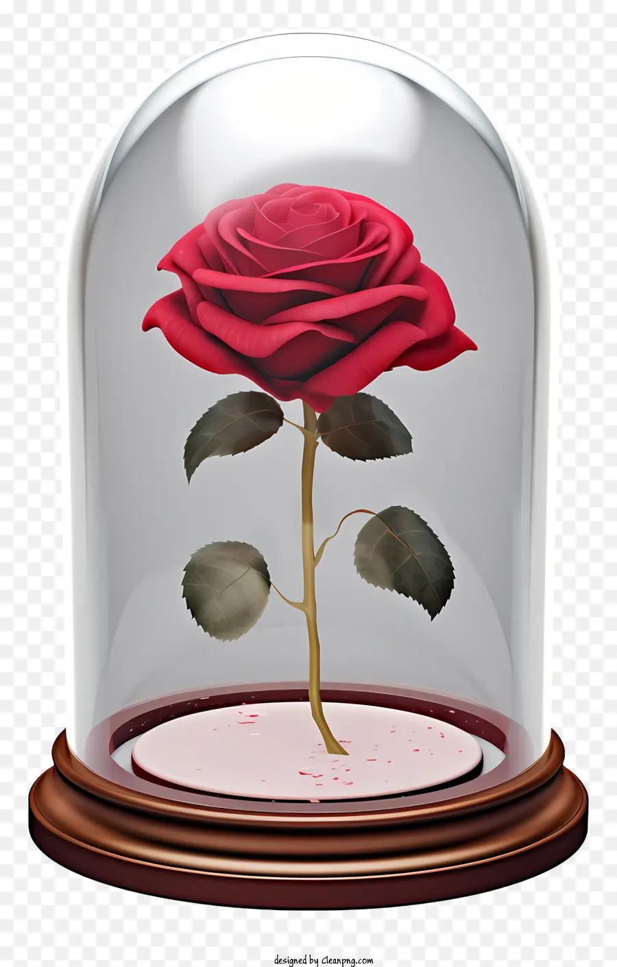 Rose Rouge，Pot De Cloche De Verre PNG