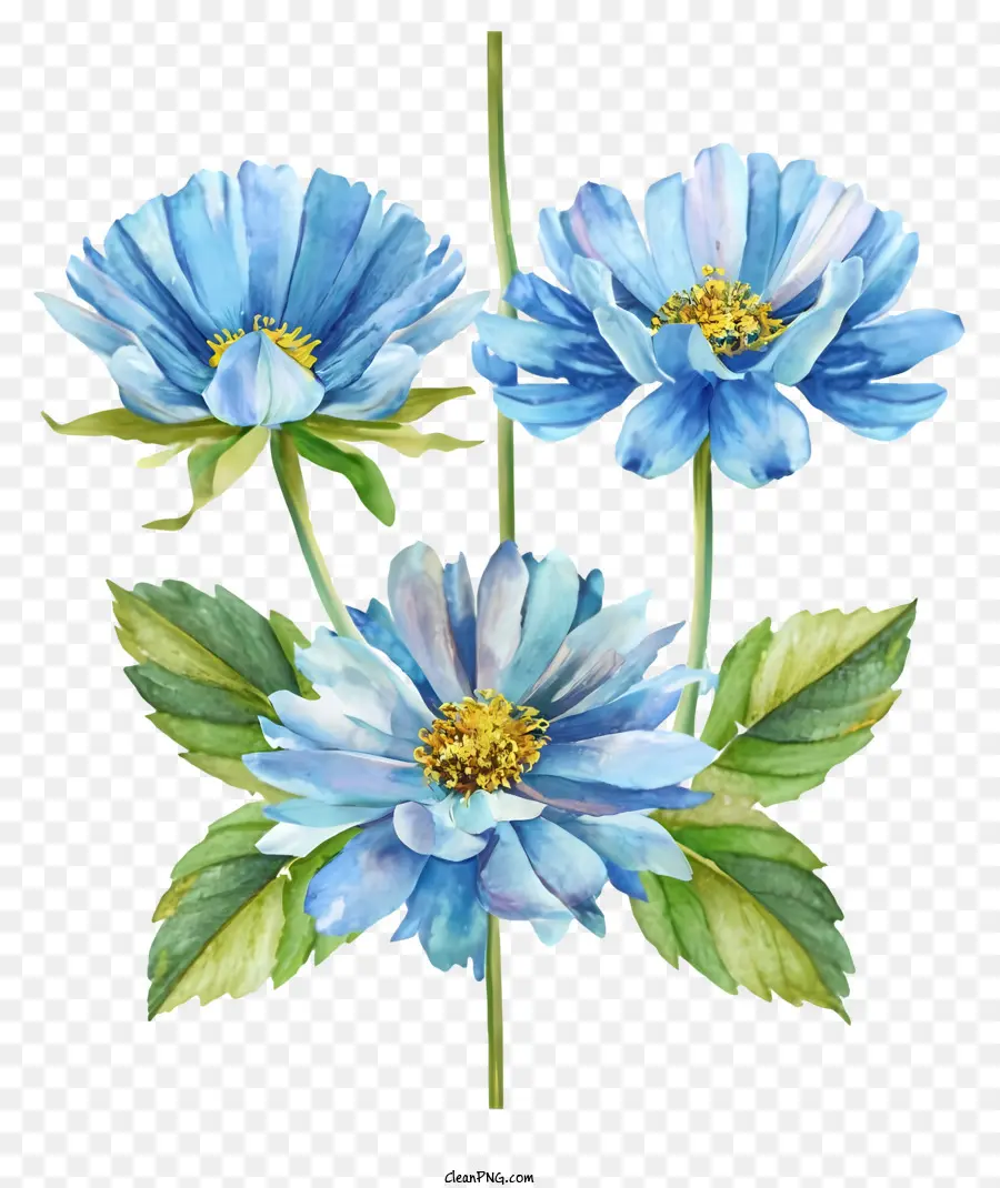 Peinture à L'aquarelle，Fleurs Bleues PNG