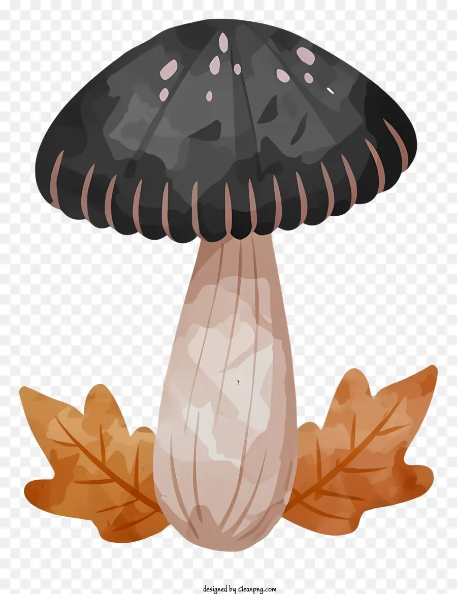 Champignon，Champignon Noir PNG