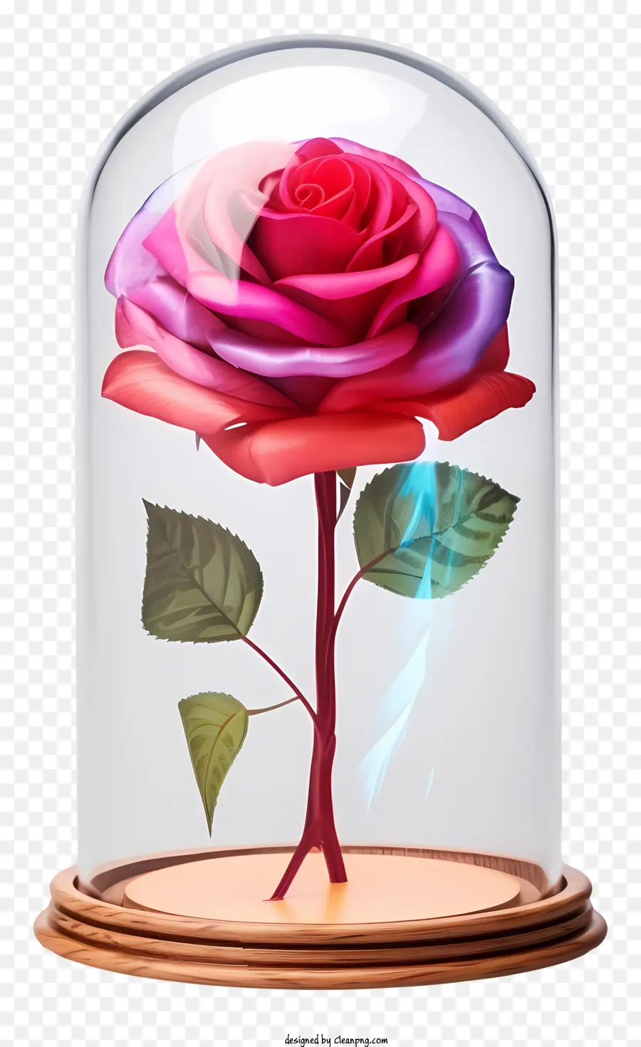 Dôme De Verre，Rose Dans Un Vase PNG