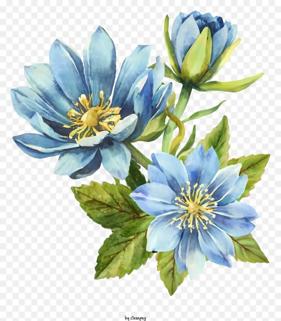 Aquarelle，Fleurs Bleues PNG