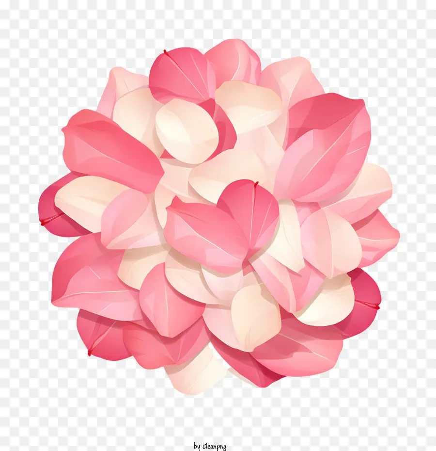 Pétales De Roses，Fleur Rose PNG