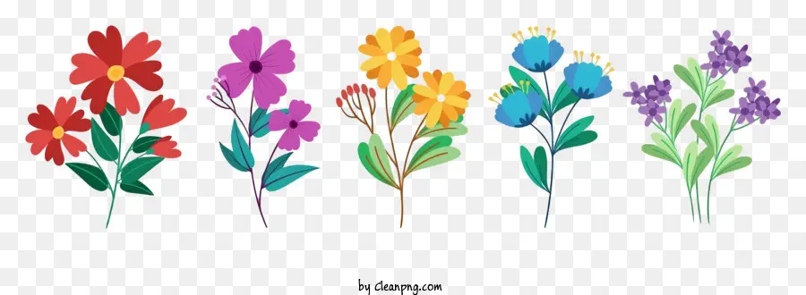 Fleurs Colorées，Plantes PNG