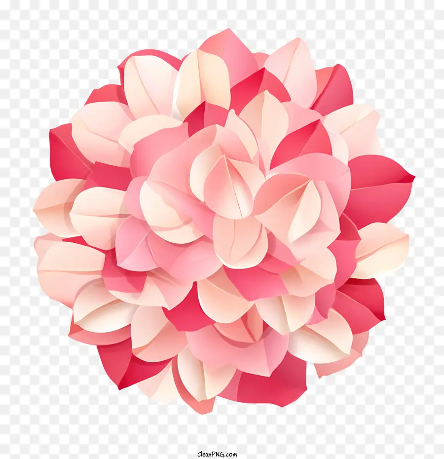 Pétales De Roses，Fleur PNG