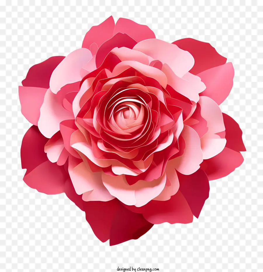 Pétales De Roses，Fleur PNG