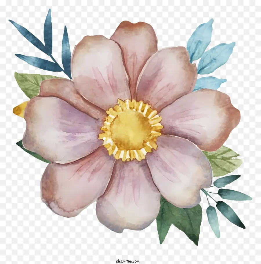 Peinture à L'aquarelle，Fleur Rose PNG